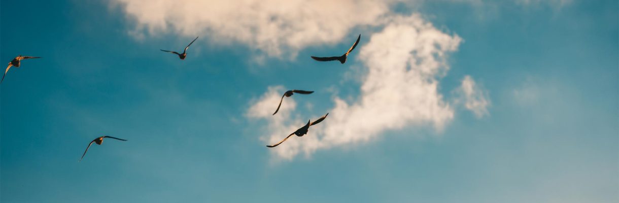 start-gedanken